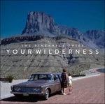 Your Wilderness - CD Audio di Pineapple Thief
