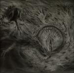 Into the Womb of Dissolving Flames - CD Audio di Nidsang