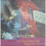 Live at the Gallery Club 1982