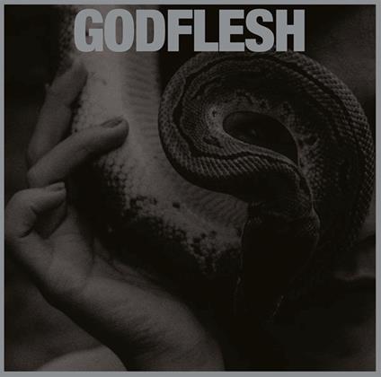 Purge - Silver Edition - Vinile LP di Godflesh