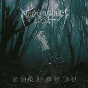CD Eulogy Iv Nachtmystium