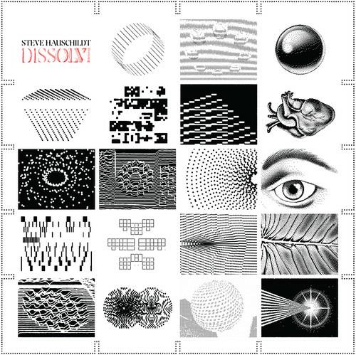 Dissolvi - Vinile LP di Steve Hauschildt