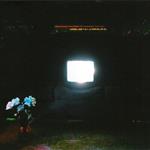 Does It Look Like I'm Here? (Coloured Vinyl)