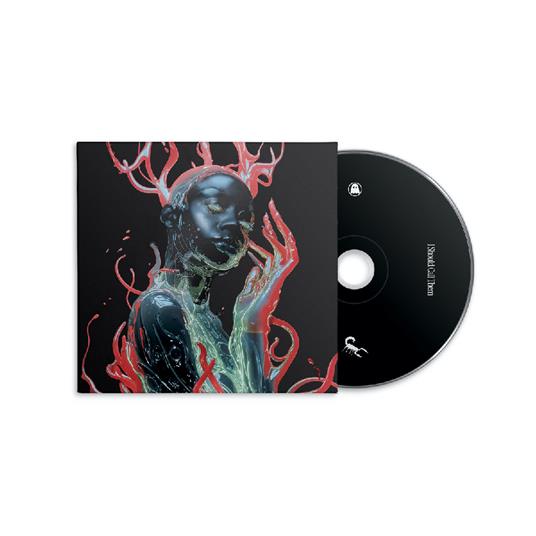 I Should Call Them - CD Audio di Dua Saleh