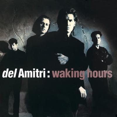 Waking Hours - Vinile LP di Del Amitri