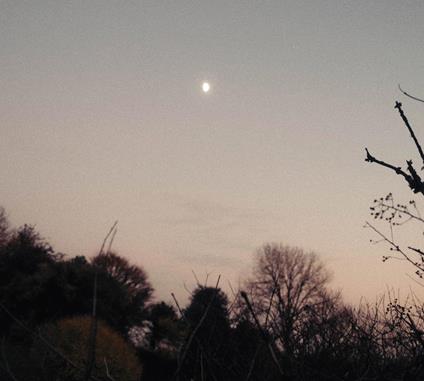 Dreamer Awake - Vinile LP di Rachel Sermanni