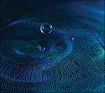 Tone Poems - CD Audio di Simple Harmonic Motion