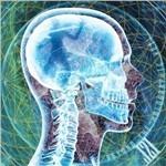 Beyond the Holographic Veil - CD Audio di J21