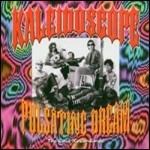 Pulsating Dreams - CD Audio di Kaleidoscope