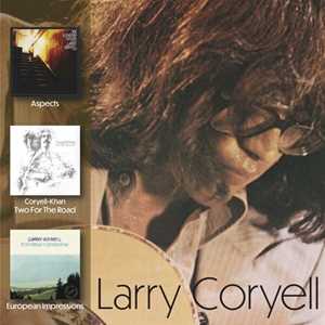 CD Aspects - Two For The Road - European Impressions Larry Coryell