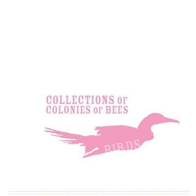 Birds - CD Audio di Collections of Colonies of Bees