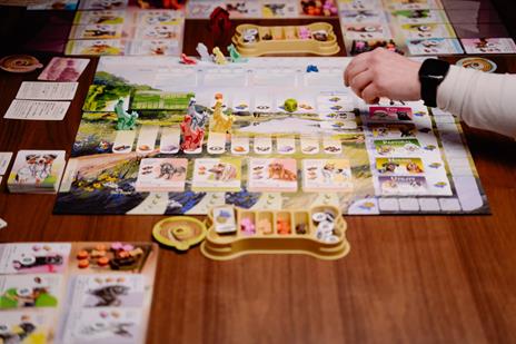 Dog Park. Gioco da tavolo - 3