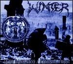 Into Darkness - CD Audio di Winter