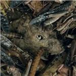 Manegarmr - CD Audio di Hessien