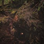 Bloodmines - Vinile LP di Baptists