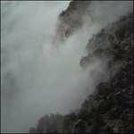 Like Rats II - CD Audio di Like Rats