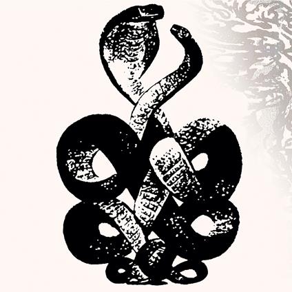 Volume 4 & 5 - Vinile LP di Bardo Pond