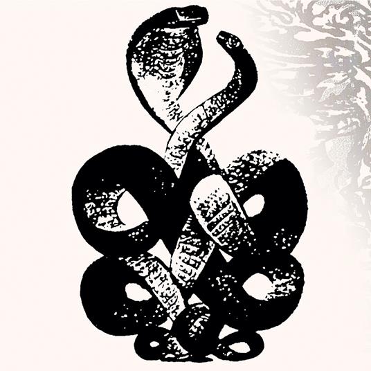 Volume 4 & 5 - Vinile LP di Bardo Pond