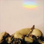 No More Lamps in the Morning - CD Audio di Josephine Foster