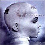 Beautiful Trustful Future - CD Audio di David Hurn