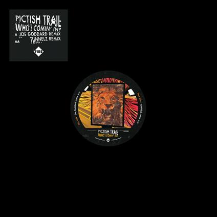 Who's Comin in? - Vinile LP di Pictish Trail