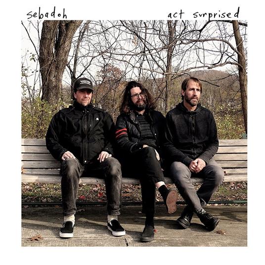 Act Surprised - CD Audio di Sebadoh