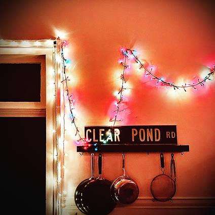 Clear Pond Road - Vinile LP di Kristin Hersh