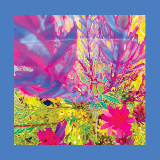 Past Is A Garden I Never Fed (Neon Pink Vinyl) - Vinile LP di Reds Pinks and Purples