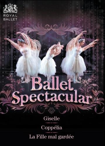 Ballet Spectacular. Giselle. La Fille mal gardée. Coppelia (3 DVD) - DVD di Nicolae Moldoveanu