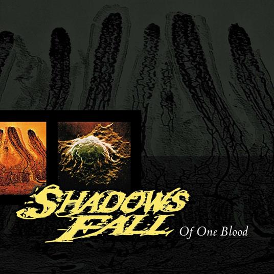 Of One Blood (Yellow Vinyl) - Vinile LP di Shadows Fall