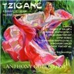 Tzigane a Treasury of Gypsy Inspired Music - CD Audio di Zoltan Kodaly