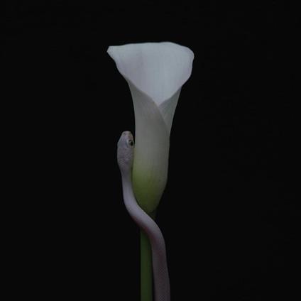 Parrhesia - Vinile LP di Animals as Leaders