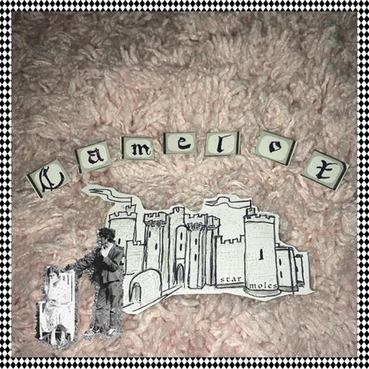 Camelot - Vinile LP di Star Moles