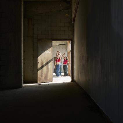 I Don't Have The Heart   Flicker - Vinile LP di Tiny Habits