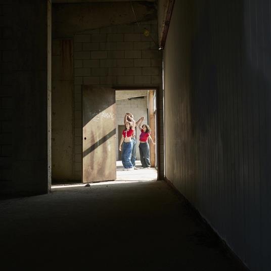 I Don't Have The Heart   Flicker - Vinile LP di Tiny Habits