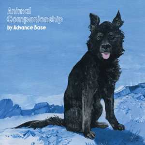 Vinile Animal Companionship (Clear Vinyl) Advance Base