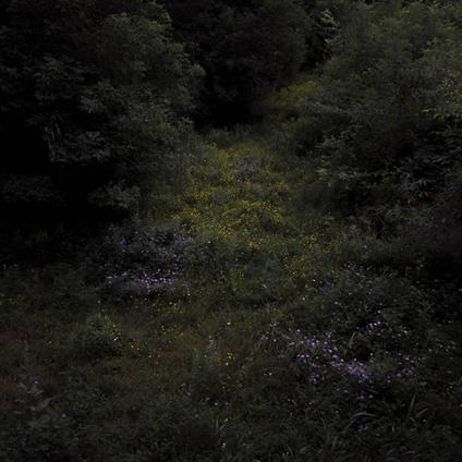 Higher Lonely Power - Vinile LP di Fireworks