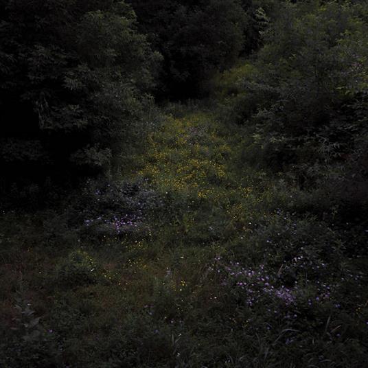 Higher Lonely Power - Vinile LP di Fireworks