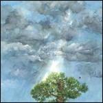 Everyday Balloons - CD Audio di A Weather