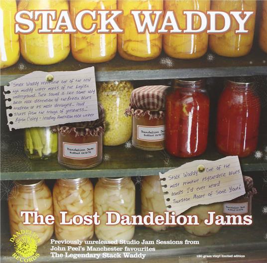 Lost Dandelion Jams - Vinile LP di Stack Waddy