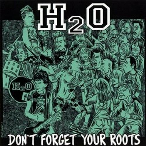 Don't Forget Your Roots - CD Audio di H2O