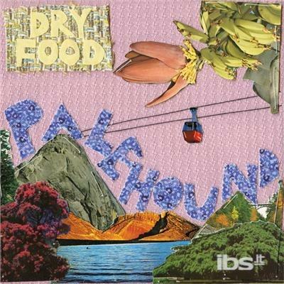 Dry Flood - Vinile LP di Palehound