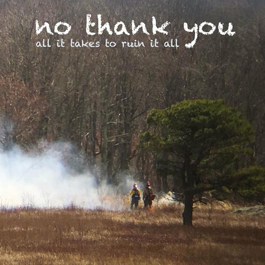 All it Takes to Ruin it All - Vinile LP di No Thank You