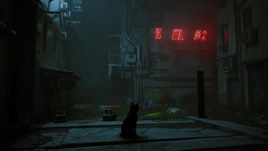 Stray - SWITCH - 6