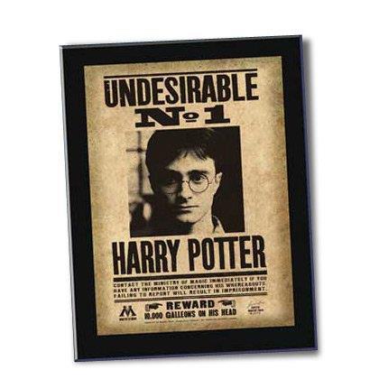 Harry Potter - Undesirable No. 1 Sign - 3