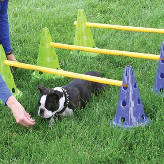 FitPAWS Kit Agility per Cani Canine Gym