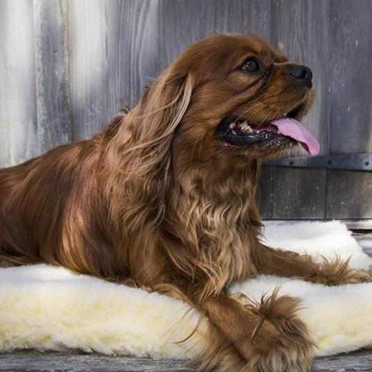HuggleHounds Materasso per Cani in Pile XL Lana Bianca - 3