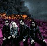 Dodge and Burn - CD Audio di Dead Weather