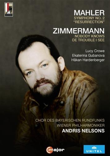 Andris Nelsons conducts the Wiener Philharmoniker (DVD) - DVD di Wiener Philharmoniker,Andris Nelsons