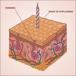 Wake Up Applauding - CD Audio di Running